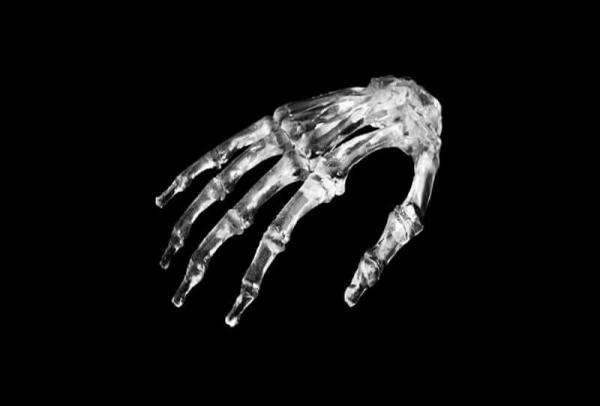 Hand Skeleton