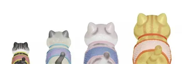 1.18--橘猫(1).png.webp