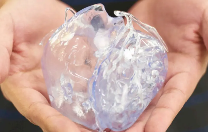 Heart-Watershed.png.webp Heart-Watershed.png.webp