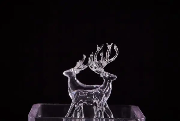 Transparent Deer Model
