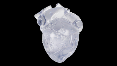 3D printed heart model